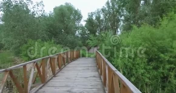 这条路线在大自然中的道路由木板和绿色的环境制成视频的预览图