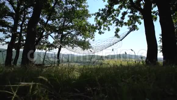 在葡萄园附近的树下荡起吊床视频的预览图