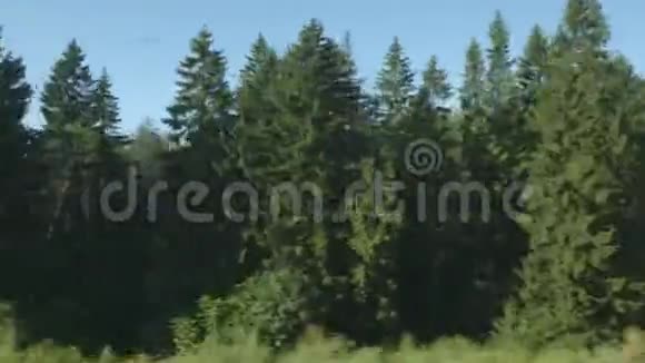高速列车驶过一片森林视频的预览图