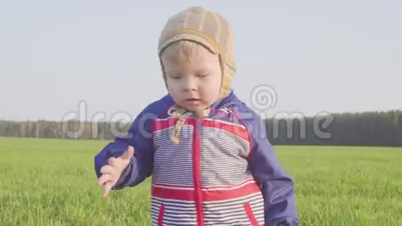 一岁的男孩带着年轻的小麦去田间特写视频的预览图