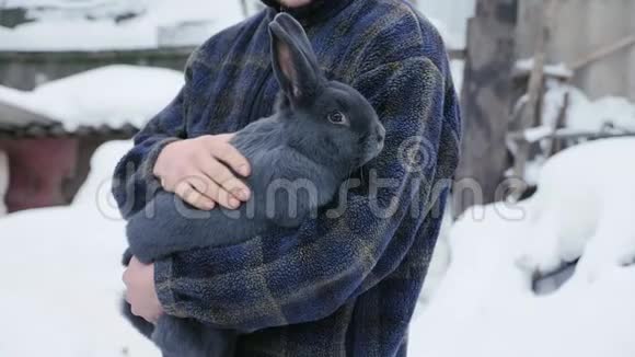 一个农夫手里拿着一只巨大的维也纳蓝兔视频的预览图