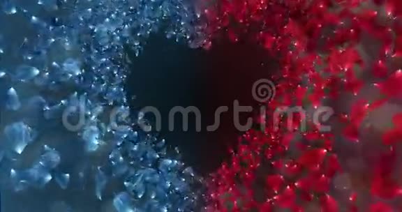 红蓝玫瑰花花瓣恋爱心形背景占位环4k视频的预览图