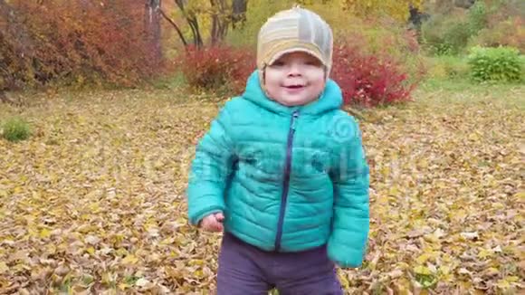 小男孩走在秋天公园4k视频的预览图