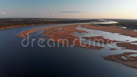 瓦尔努克罗斯里卢佩河上的空中沼泽金色时光日落从上面俯瞰用常青树拍摄的无人机拍摄视频的预览图