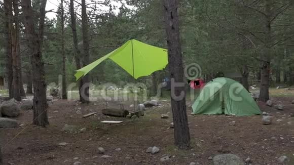 森林中旅游营地的全景森林中旅游营地的全景人们在帐篷里旅行和生活视频的预览图