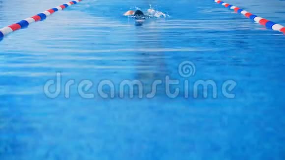 女游泳运动员参加游泳池游泳比赛4K视频的预览图