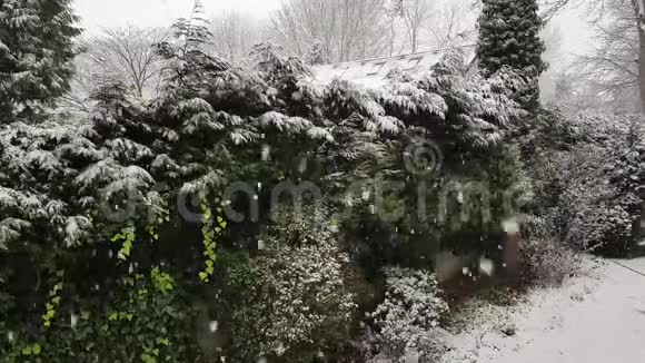 在罗得利兹下雪视频的预览图