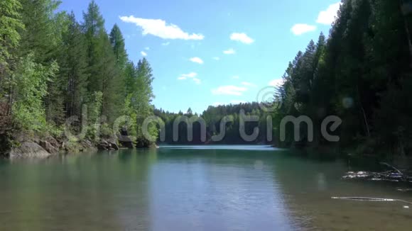 美丽的森林在平静的湖岸上倒影库存录像在森林里平静的湖水视频的预览图
