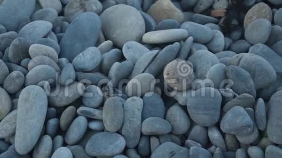 带有石头的抽象背景弹珠海岸带有石头的抽象背景视频的预览图