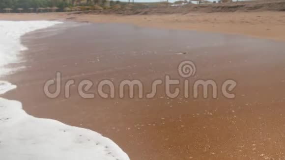 阳光明媚的一天海浪在沙滩上翻滚的4k慢动作视频视频的预览图