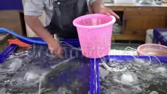 海鲜市场上的新鲜海鲜卖家放新鲜虾视频的预览图