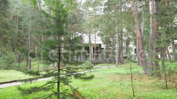 森林中的小屋周围是树木通过全景图来移动摄像机你的工作背景很好视频的预览图