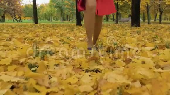年轻苗条美丽的高加索女人的腿在公园里的黄色落叶上奔跑视频的预览图