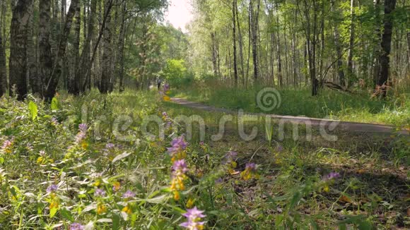 一个中年男子快速的沿着林中的小路奔跑美好的晴天视频的预览图