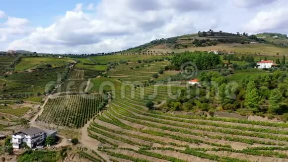 乘飞机飞越葡萄牙的杜洛山谷那里有著名的葡萄园视频的预览图