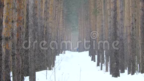 冬天在森林里下雪爸爸和女儿在森林里滑雪视频的预览图