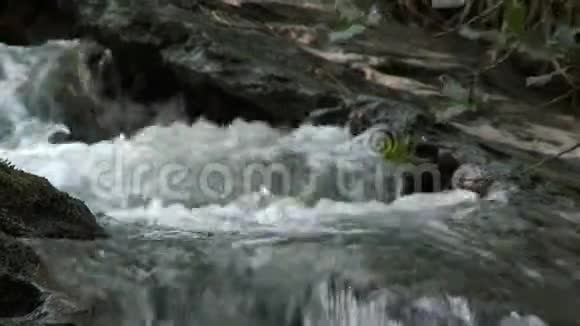 小溪的水流过岩石视频的预览图