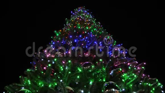 闪耀着高高的圣诞杉树装饰着花环和多种颜色的球映衬着夜空小小的雪视频的预览图