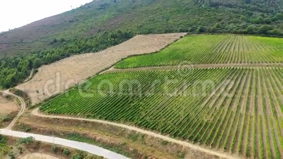 俯瞰葡萄牙杜罗谷和港口葡萄酒葡萄园的空中景色视频的预览图