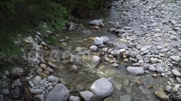 河流中的水流视频的预览图