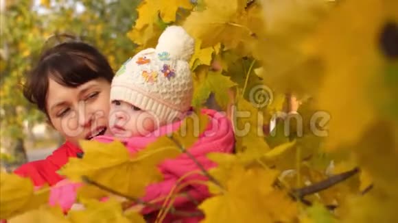 和她母亲在一起的孩子正在秋天的公园里散步妈妈在一棵树上展示了黄色的秋天枫叶视频的预览图