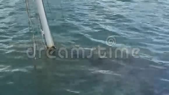 沉船在水下视频的预览图