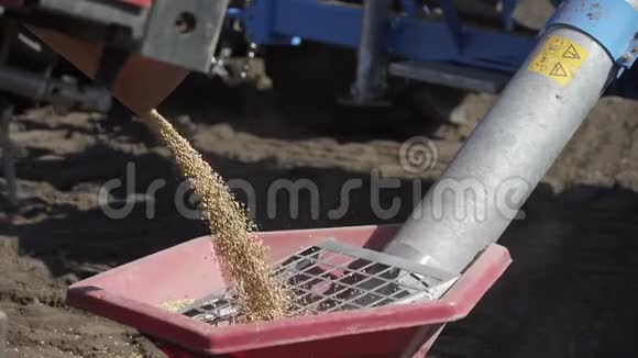 在拖拉机拖车中卸下小麦用于播种土地视频的预览图