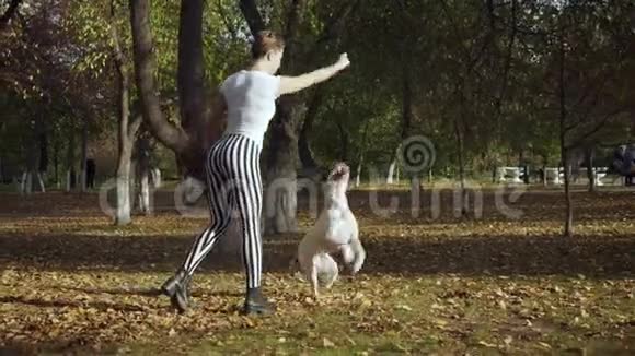 年轻女子在公园里训练黑白狗杖视频的预览图