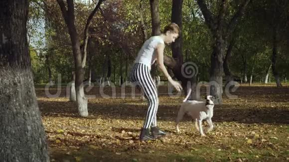 年轻女子在公园里训练黑白狗杖视频的预览图