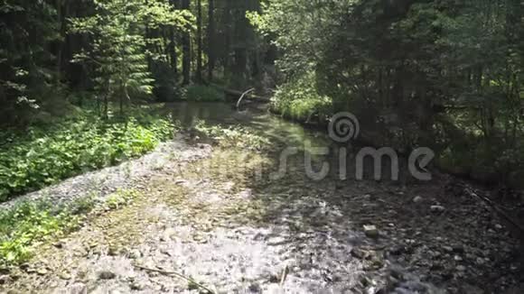 河流中的水流视频的预览图