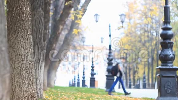 五彩缤纷的小巷在秋天的公园里有路灯树叶正在飘落一个背包剪影模糊的青少年慢慢视频的预览图