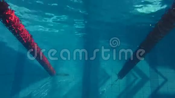 男子游泳和潜水的水下景观视频的预览图