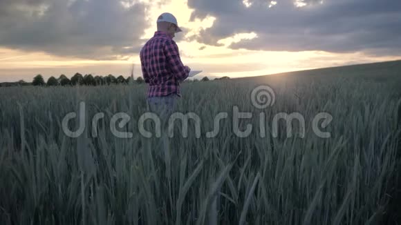 现代男性农民用平板电脑在田里检查庄稼视频的预览图