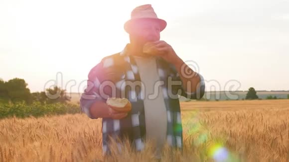 小麦领域的成功农民一个成年人展示了一种由小麦面包制成的产品概念收获时间视频的预览图