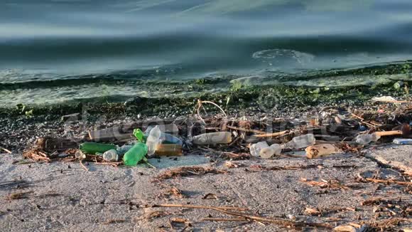 海滩上的垃圾和被绿色污染的脏水视频的预览图