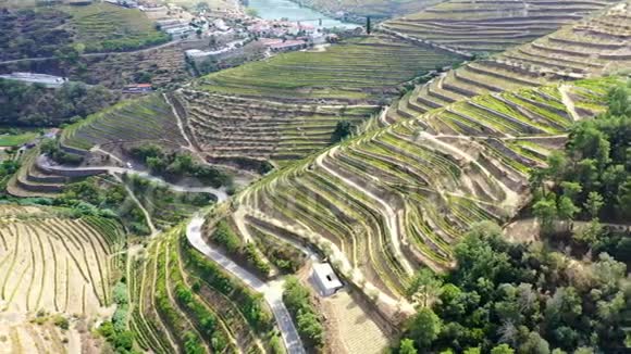 乘飞机飞越葡萄牙的杜洛山谷那里有著名的葡萄园视频的预览图