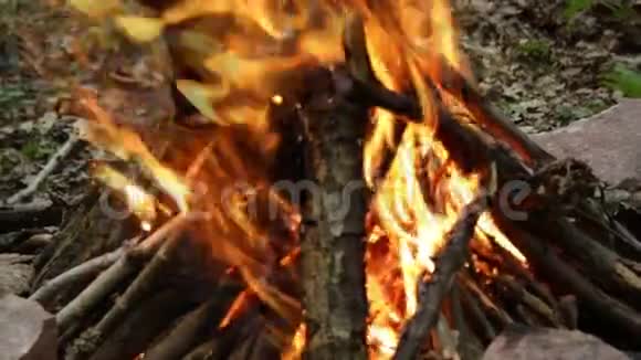篝火燃烧得很明亮视频的预览图