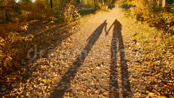 一对相爱的两个影子走过秋天的森林慢动作视频的预览图