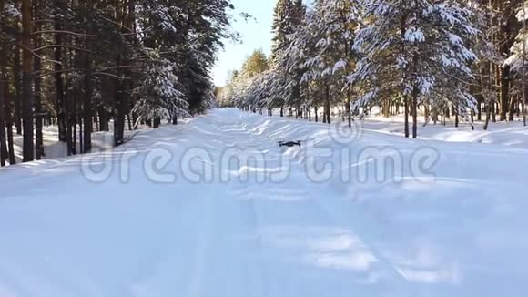 无人驾驶飞机在公路上方的冬季森林中飞行视频的预览图