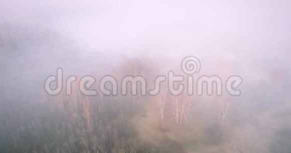 4K顶景色在空中的秋雾森林和河流之上旋转和上升视频的预览图