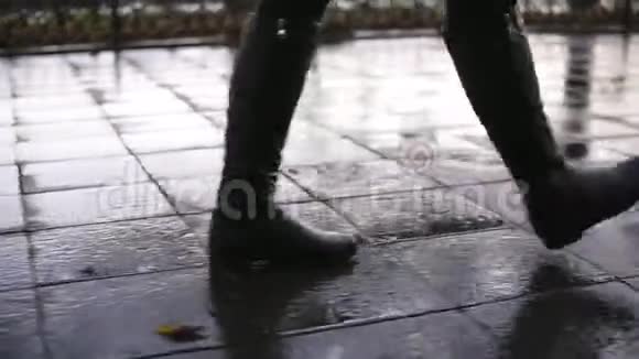 女人在秋天公园散步沿着人行道小巷散步特写腿部和鞋子视图优雅的女士穿着黑色视频的预览图