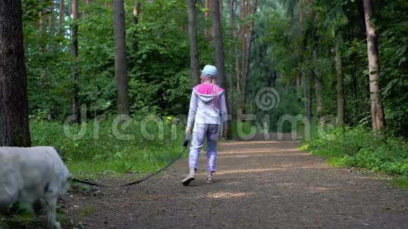小女孩正和一只狗在森林里散步视频的预览图