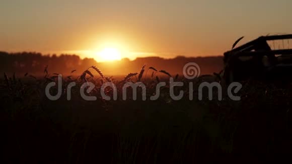 拖拉机在日落时收割小麦剪影景观视频的预览图