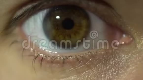 蓝眼极端特写虹膜和瞳孔扩张和收缩非常细致的雌性棕色眼睛视频的预览图