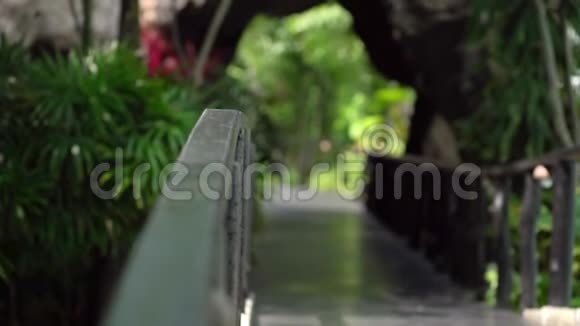 热带公园背景下的小径桥公园里的桥板视频的预览图