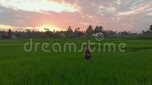在一片奇妙的稻田里迎接日落的幸福家庭游客的空中拍摄旅游亚洲概念旅费视频的预览图
