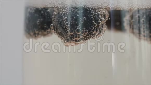 香槟泡沫的特写附着在蓝莓上漂浮在玻璃中慢动作视频的预览图