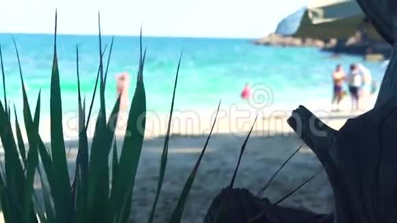 天堂海滩和美丽的蓝海绿松石海水和沙滩热带海滩和海洋的绿色植物视频的预览图