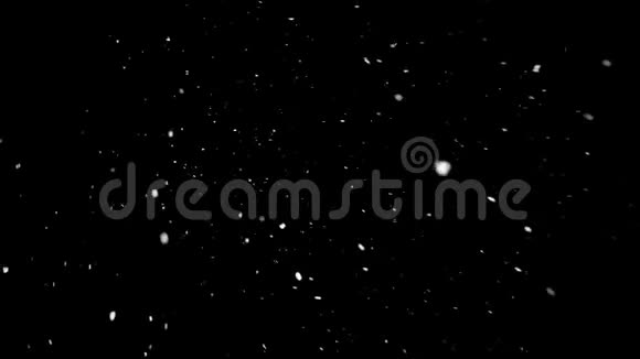 夜空下着雪视频的预览图