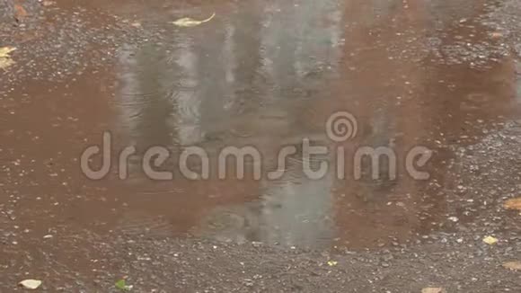 雨中靠近城市住宅的湿沥青路视频的预览图